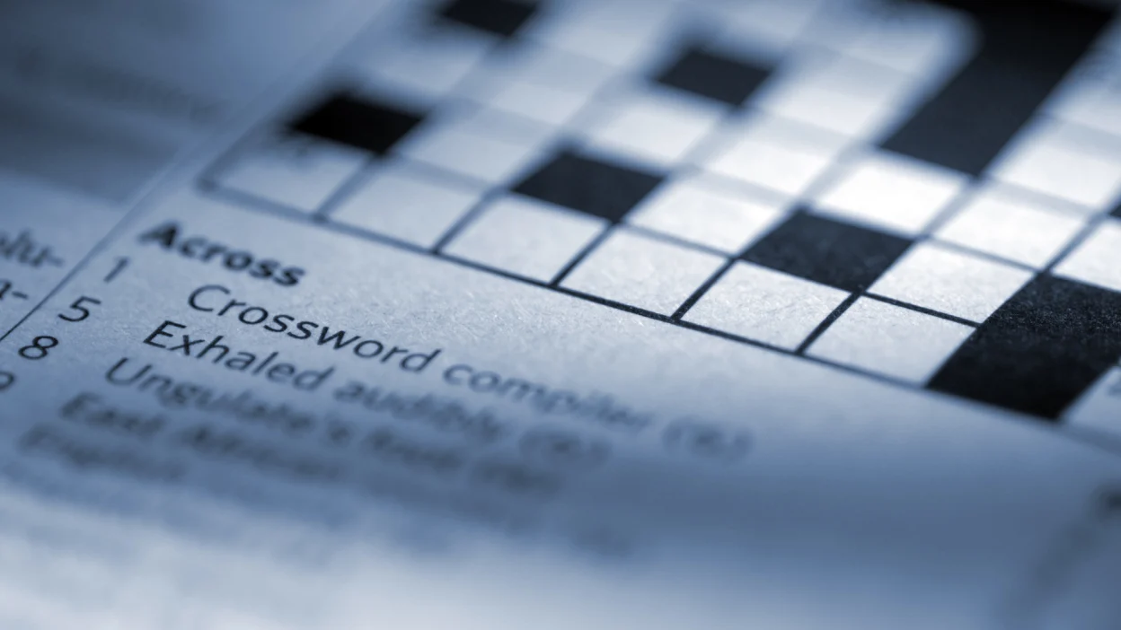What Makes A Lot to Like NYT Crossword Stand Out?