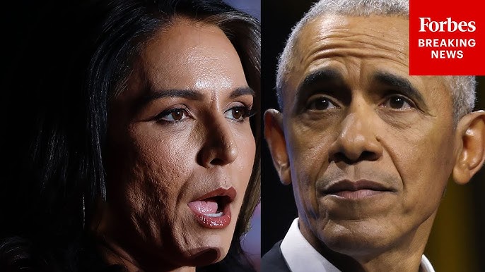 Tulsi Gabbard calls for Obama to be prosecuted over 2016 election claims
